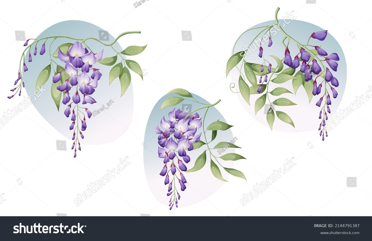 SVG of A set of wisteria branches with green leaves. Great for postcards, invitation stickers, etc. svg