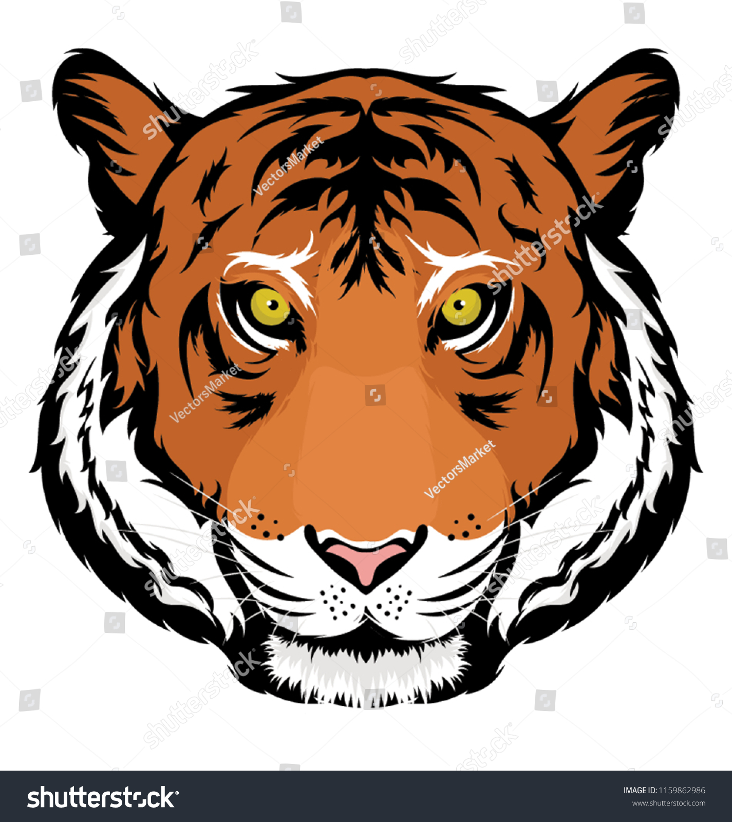 Stern Look On Tiger Face Stock Vector (Royalty Free) 1159862986 ...