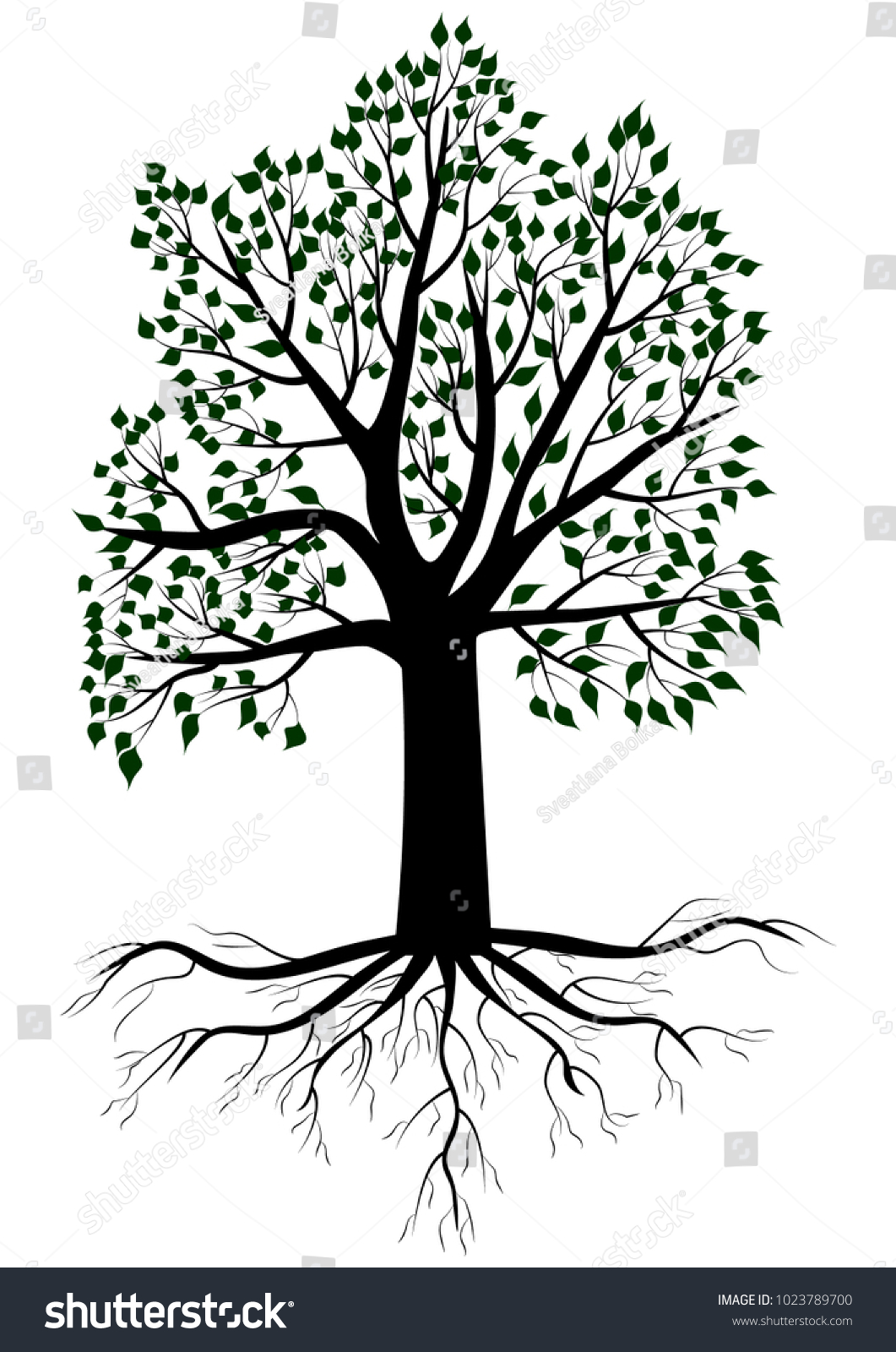 Tree Roots Leaves Vector Stock Vector (Royalty Free) 1023789700