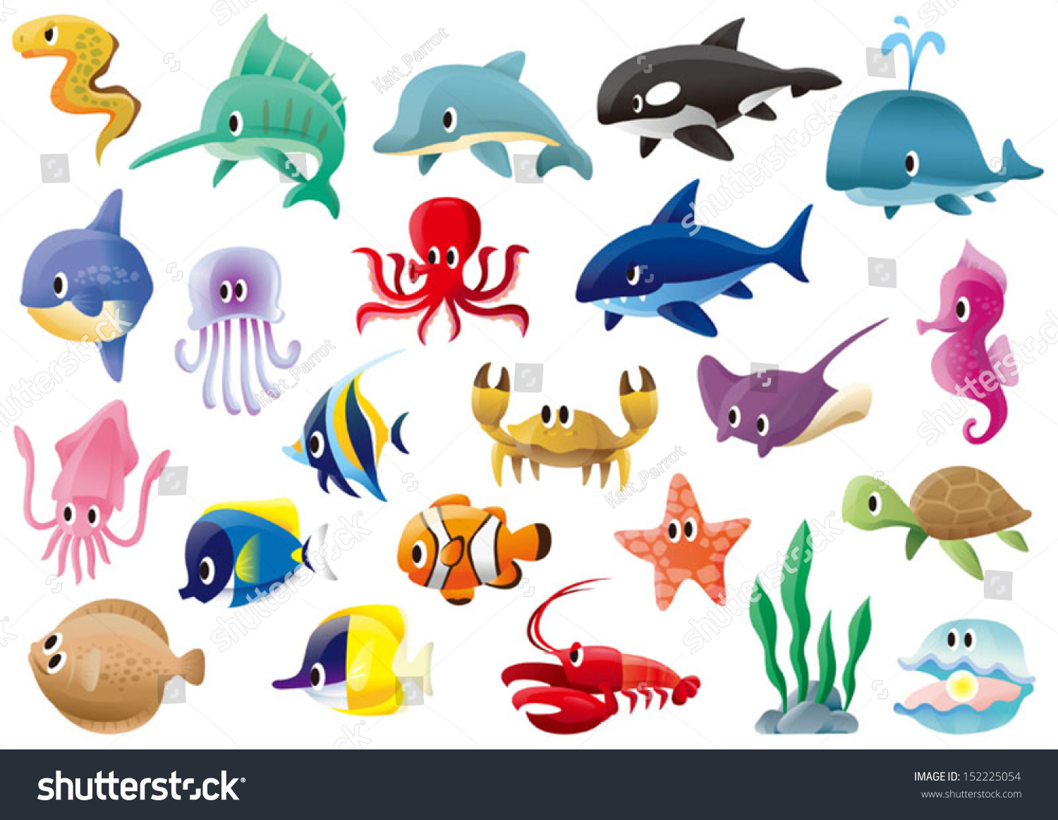 Variety Marine Organisms Stock Vector 152225054 - Shutterstock