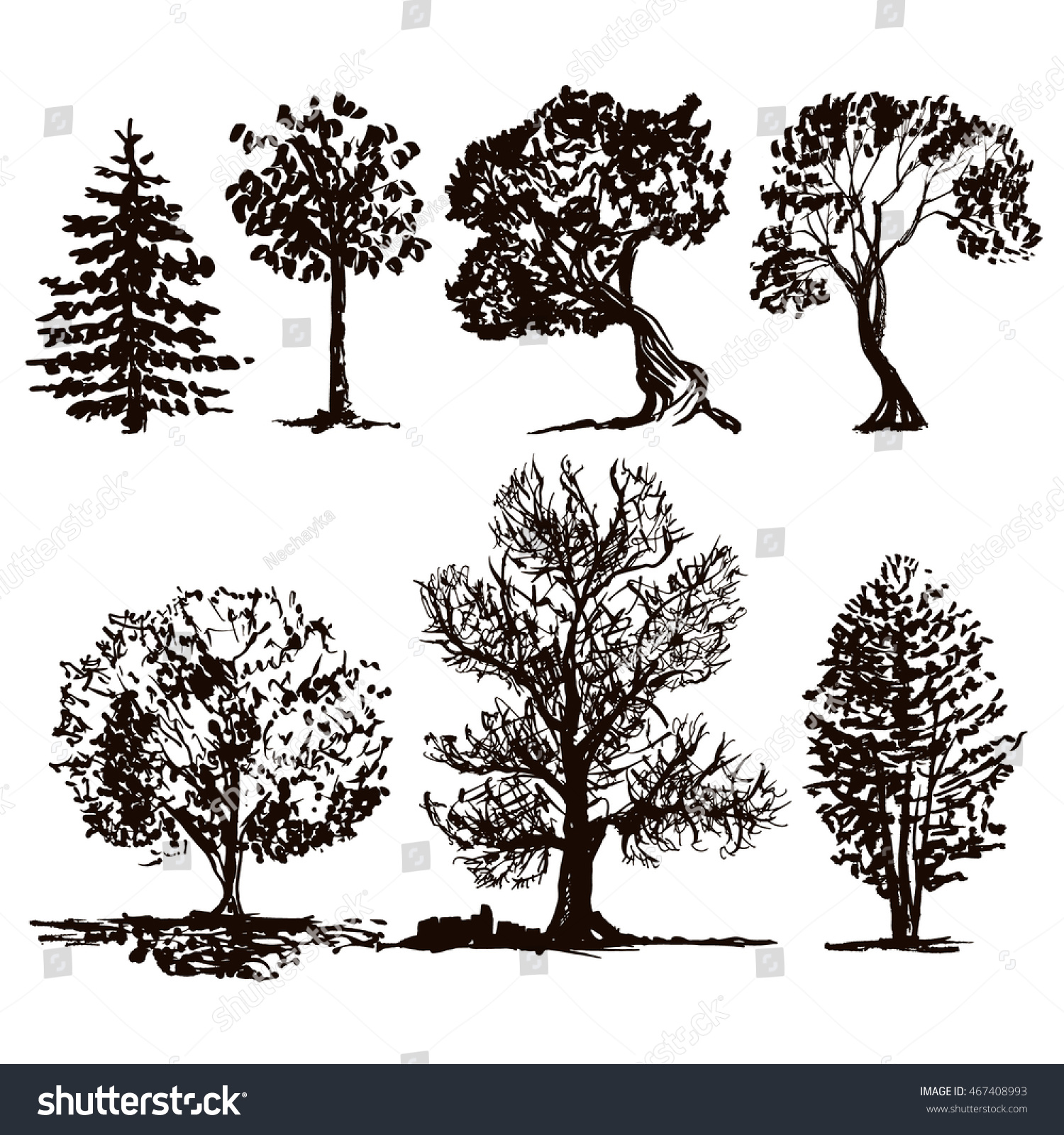 10,743 Oak tree line drawing Images, Stock Photos & Vectors | Shutterstock