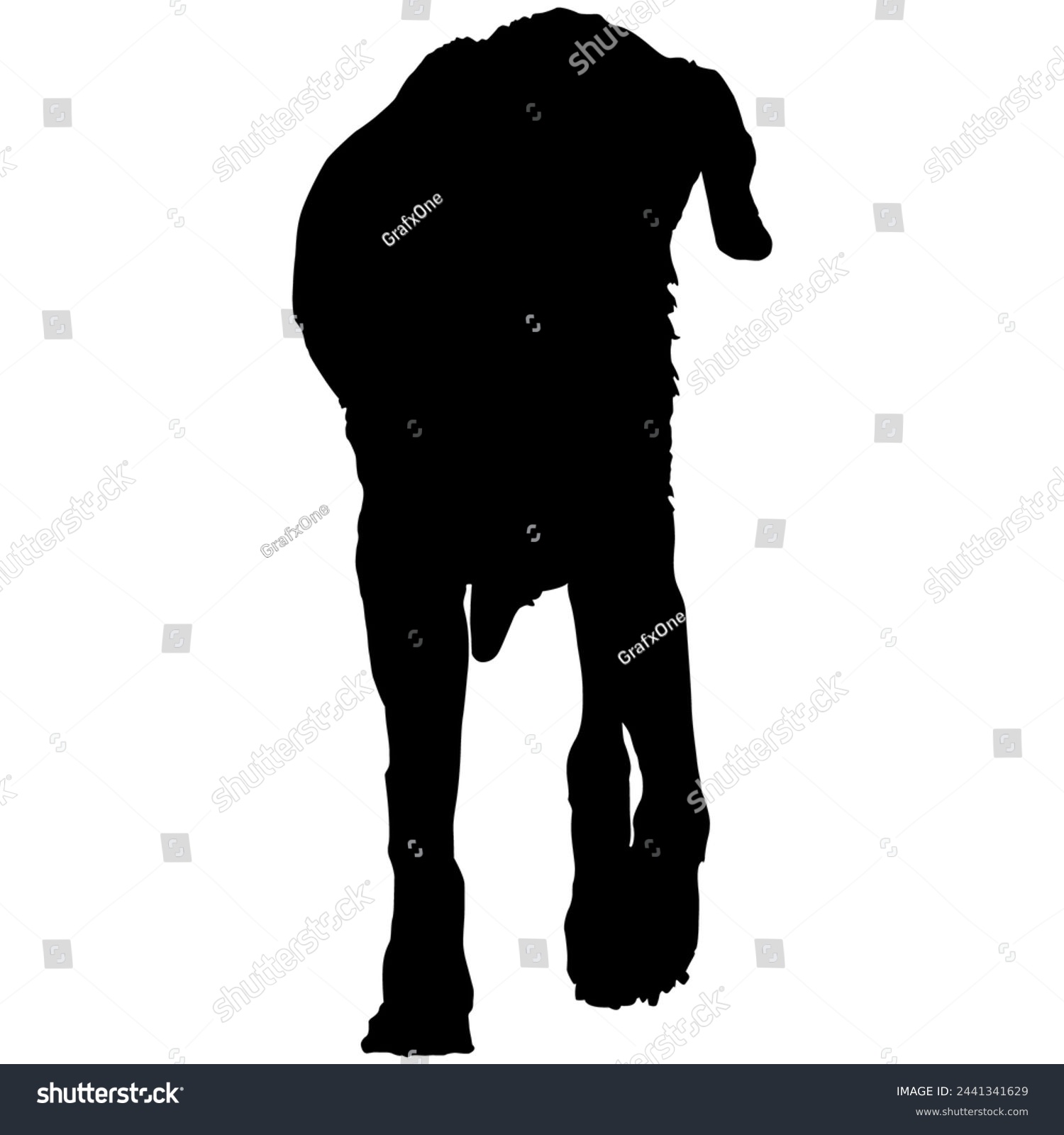 SVG of A view from the front of a dog in silhouette svg