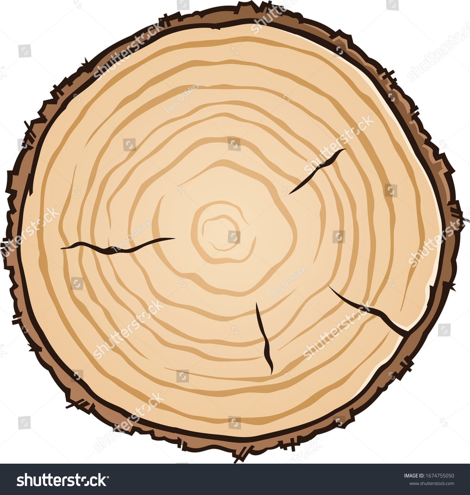 SVG of A wooden circle vector illustration cut from a log showing age rings and cracks svg