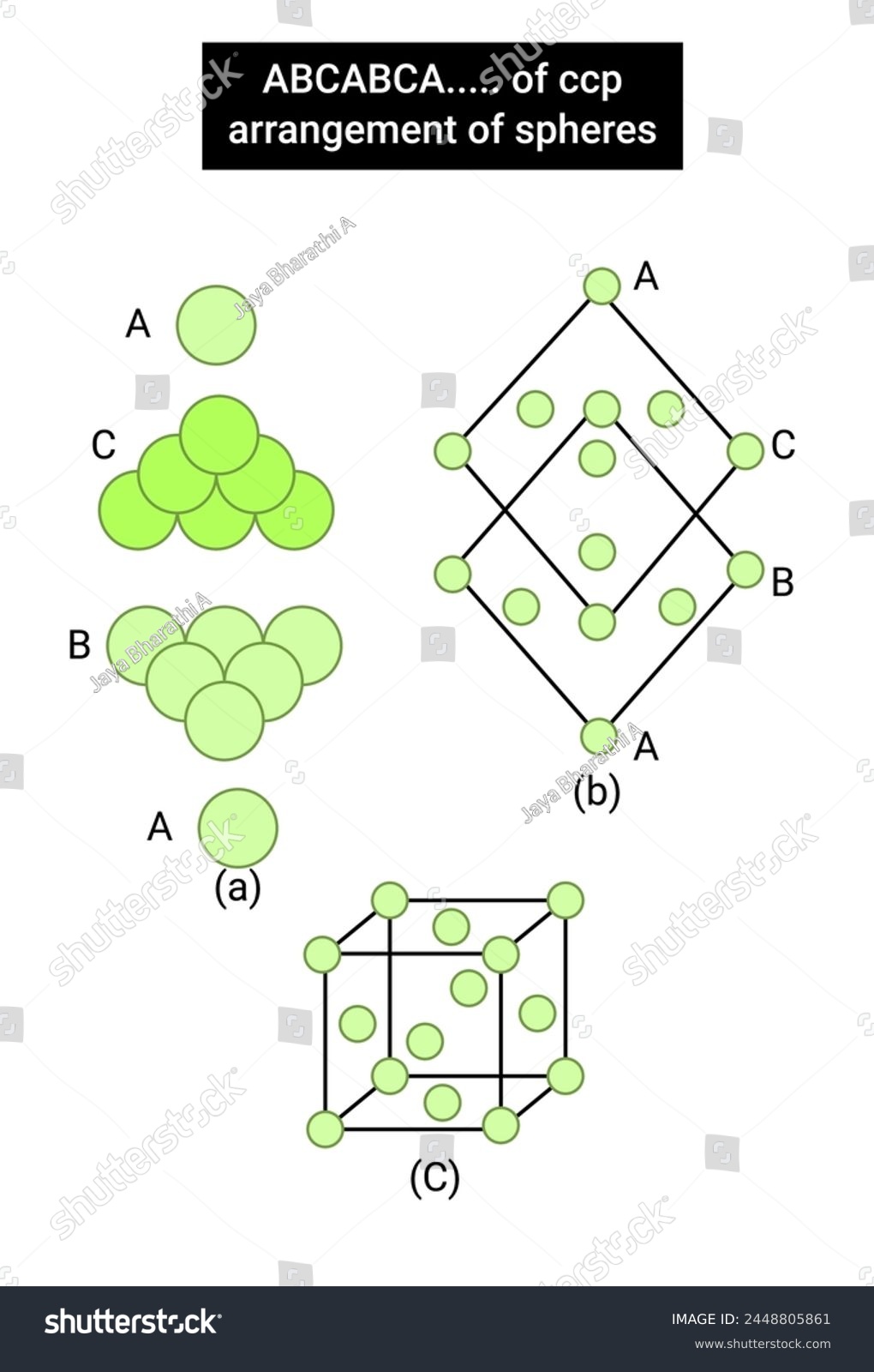 SVG of ABCABCA..... of ccp arrangement of spheres svg