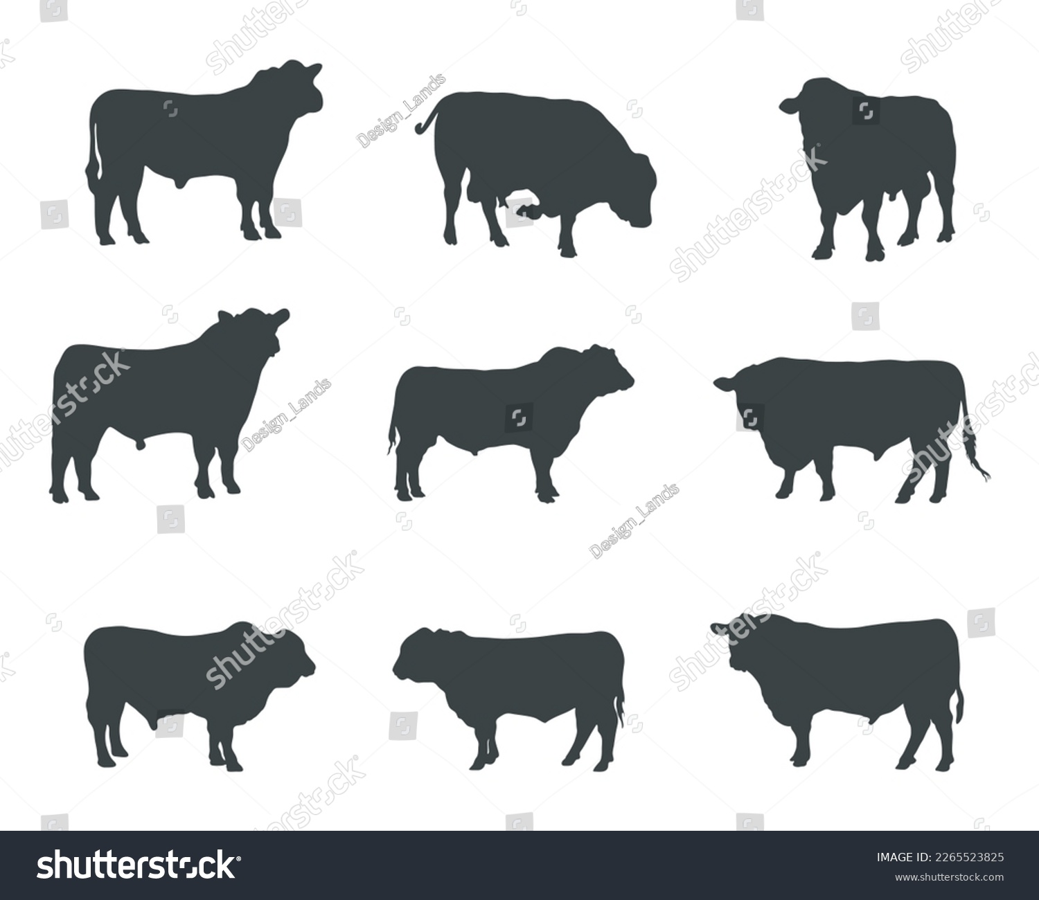 SVG of Aberdeen angus silhouettes , Aberdeen angus cow silhouette set svg
