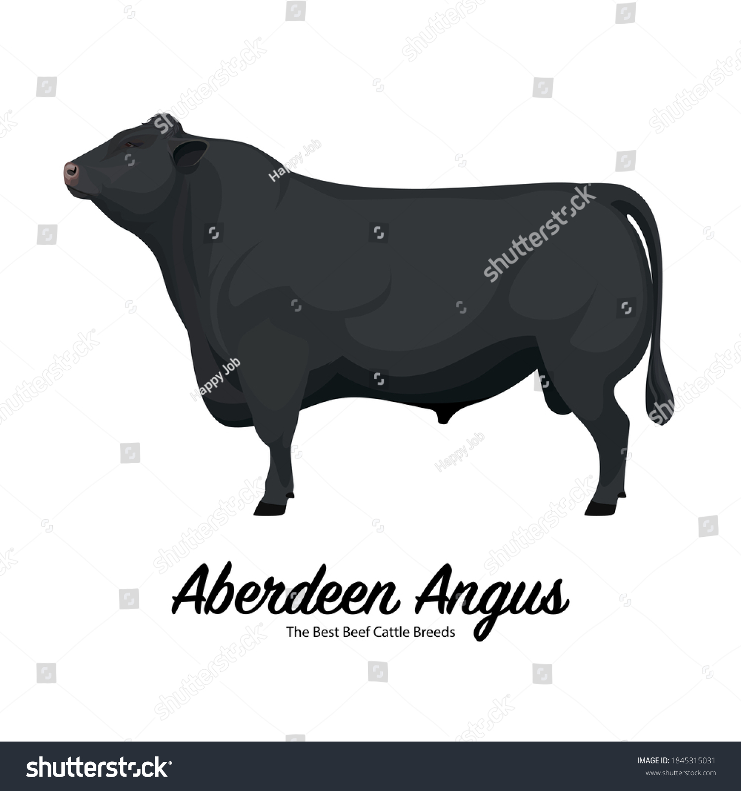SVG of Aberdeen Angus - The Best Beef Cattle Breeds. Farm animals. Vector Illustration. svg