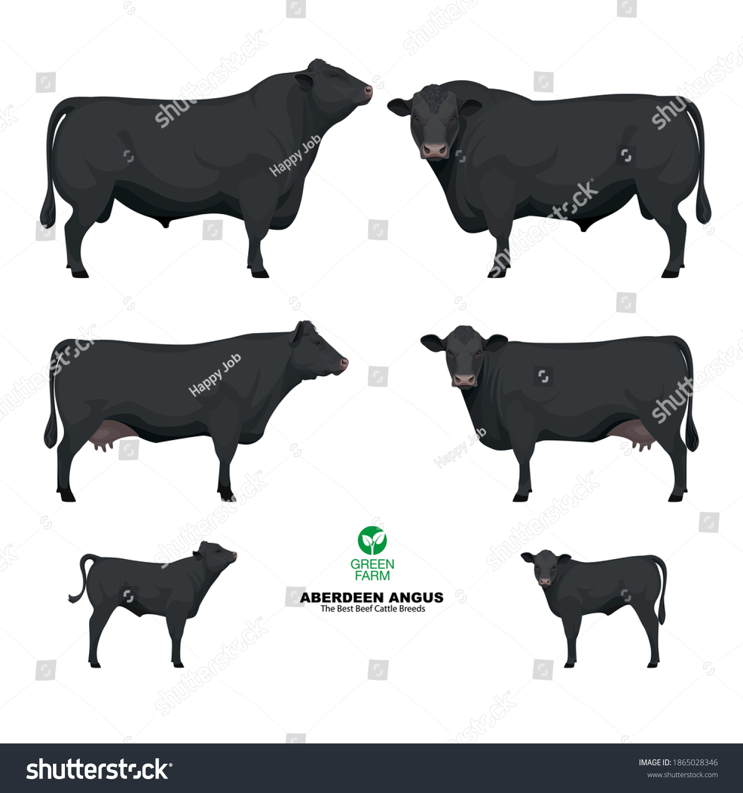 SVG of Aberdeen Angus - The Best Beef Cattle Breeds. Set Bull, Cow, Calf. Farm animals. Vector Illustration. svg