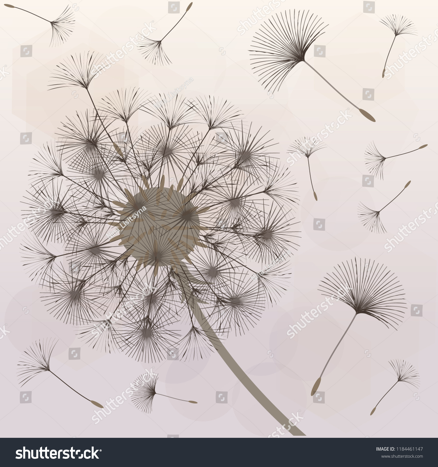 abstract background dandelion design wind blows stock vector