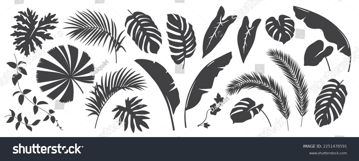 SVG of Abstract foliage elements isolated on a white background. Tropical leaves set. Collection of black and white graphic silhouettes.  svg