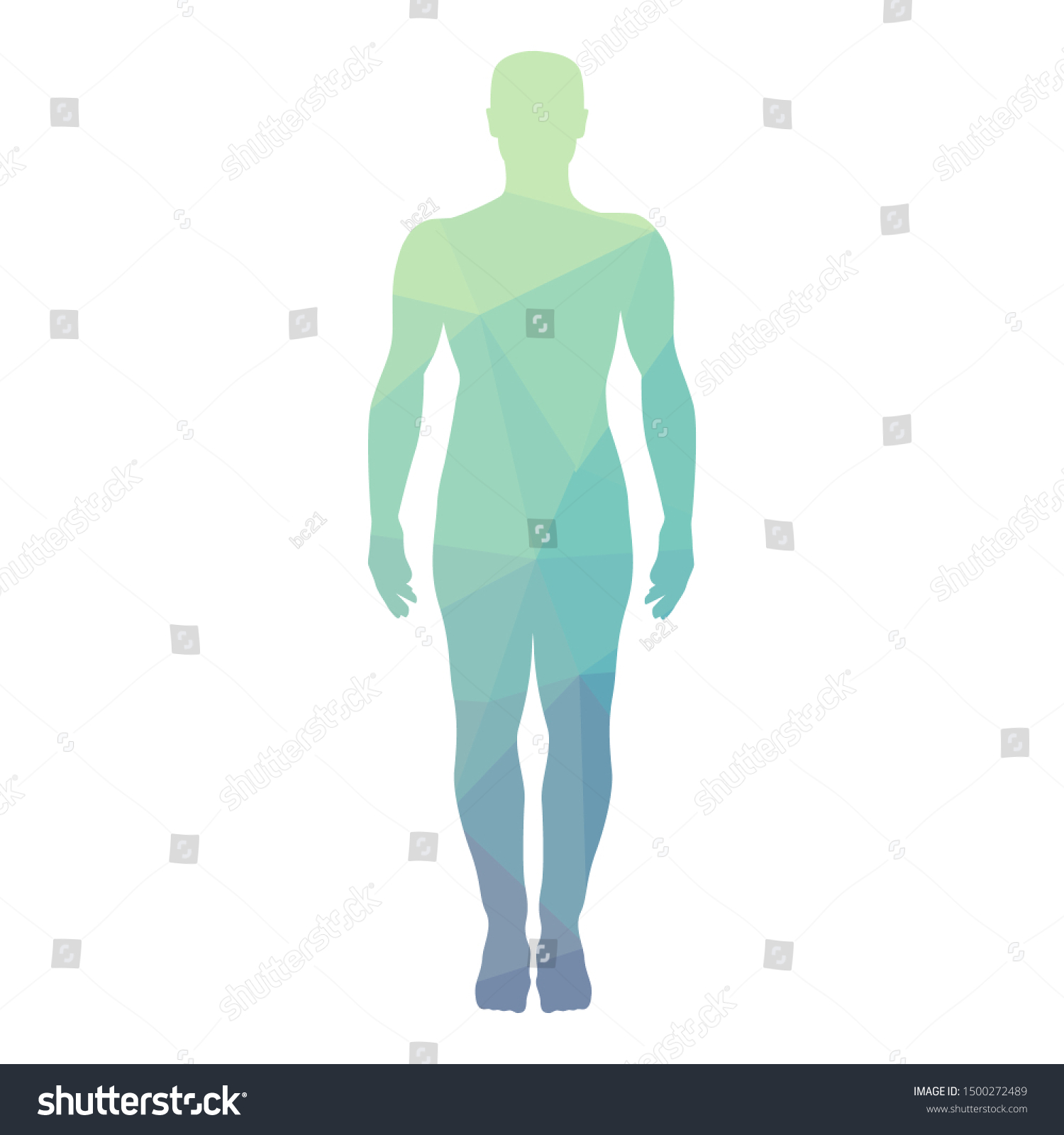 32,948 Human body label Images, Stock Photos & Vectors | Shutterstock