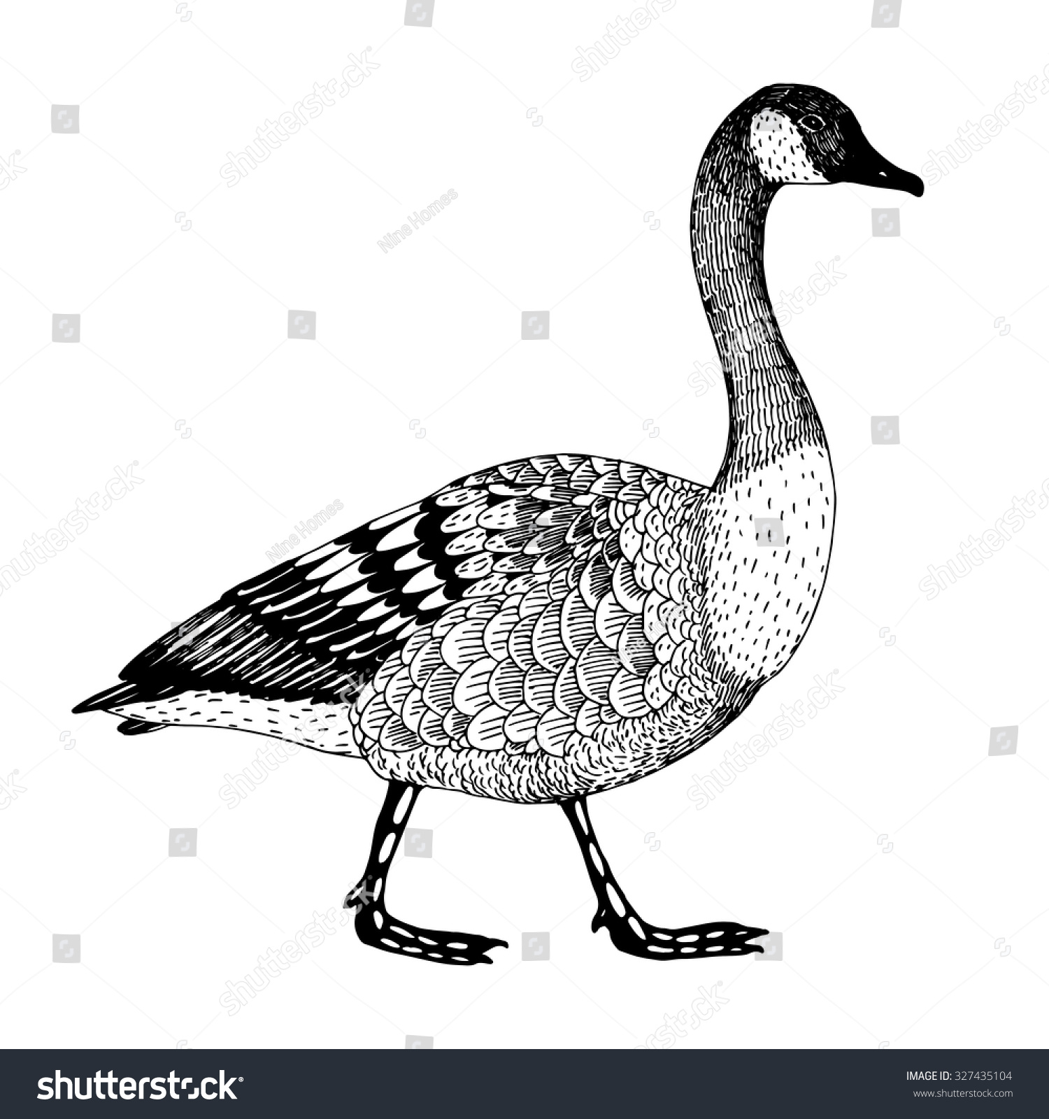 Abstract Hand Drawn Vector Illustration With A Goose Isolated On A ...