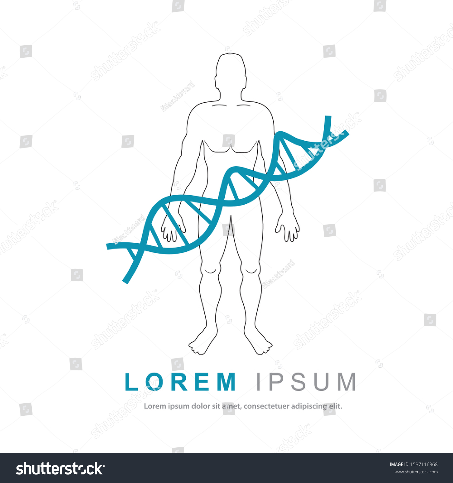 Abstract Human Body Molecules Dna Structure Stock Vector Royalty Free Shutterstock