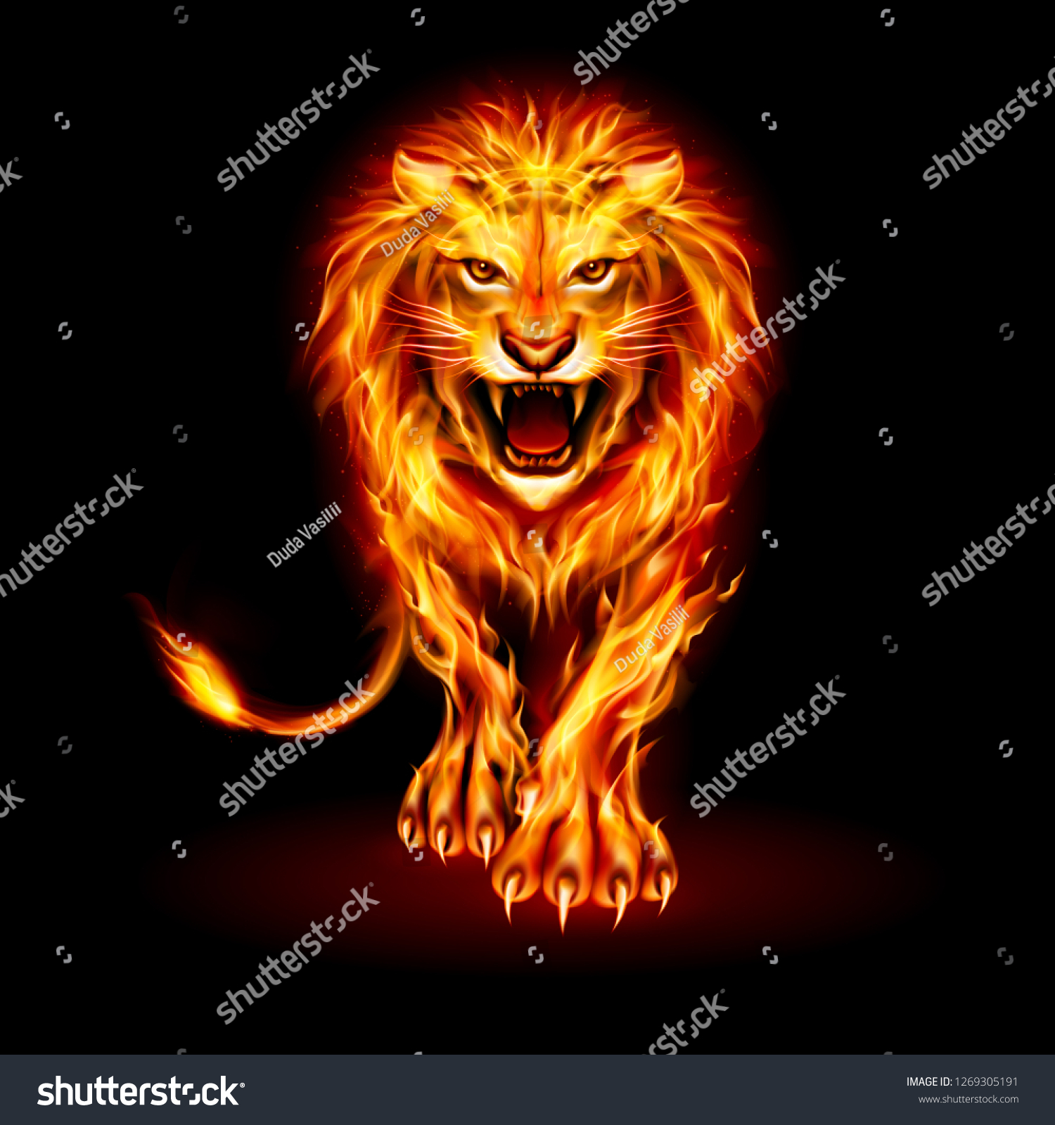 黒い背景に激怒したライオンと火の炎の毛皮の抽象的イラスト のベクター画像素材 ロイヤリティフリー