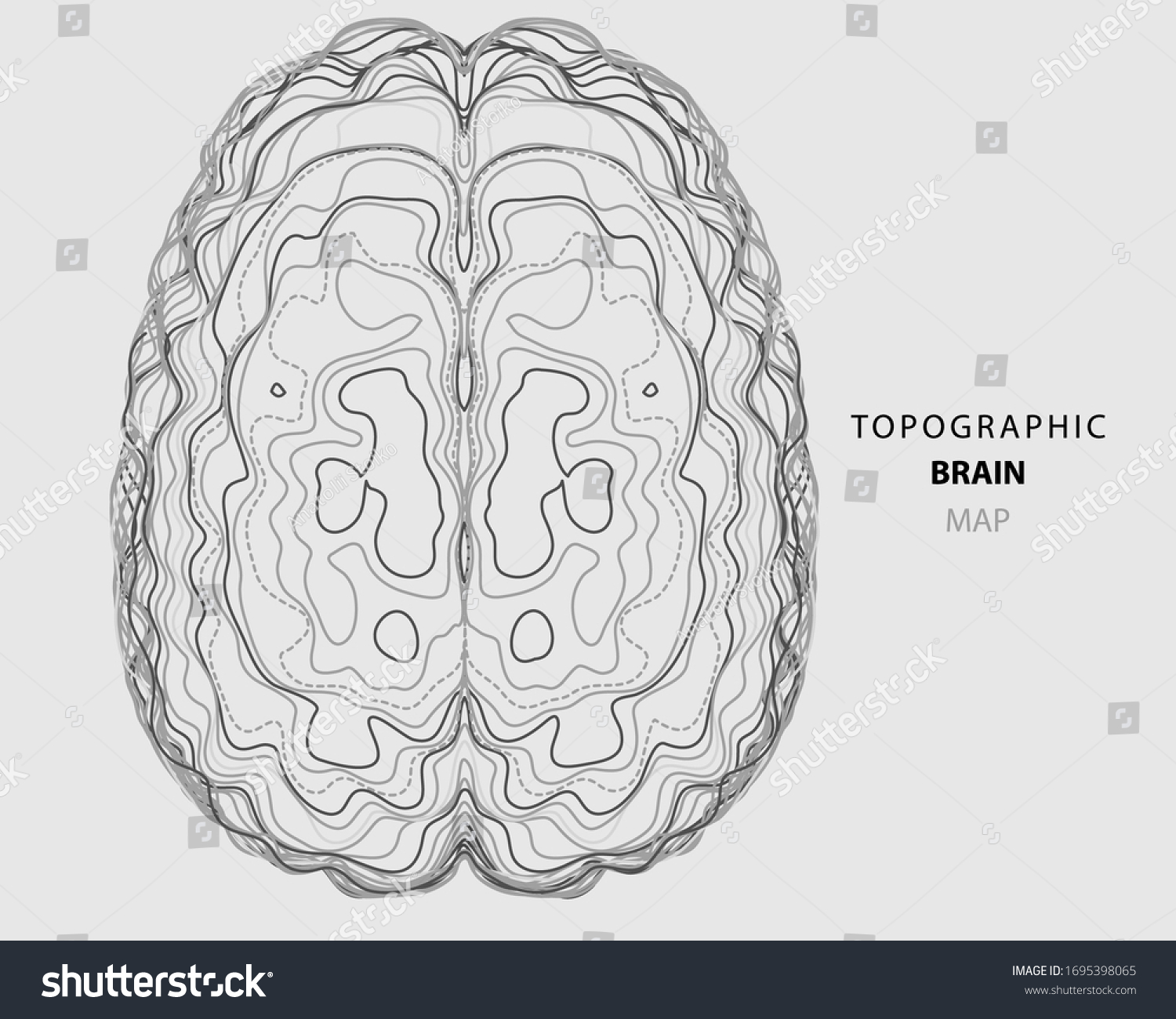 13 504 Brain And Map Images Stock Photos Vectors Shutterstock   Stock Vector Abstract Topographic Map Of Human Brain Conceptual Of Creative And Artificial Intelligence 1695398065 