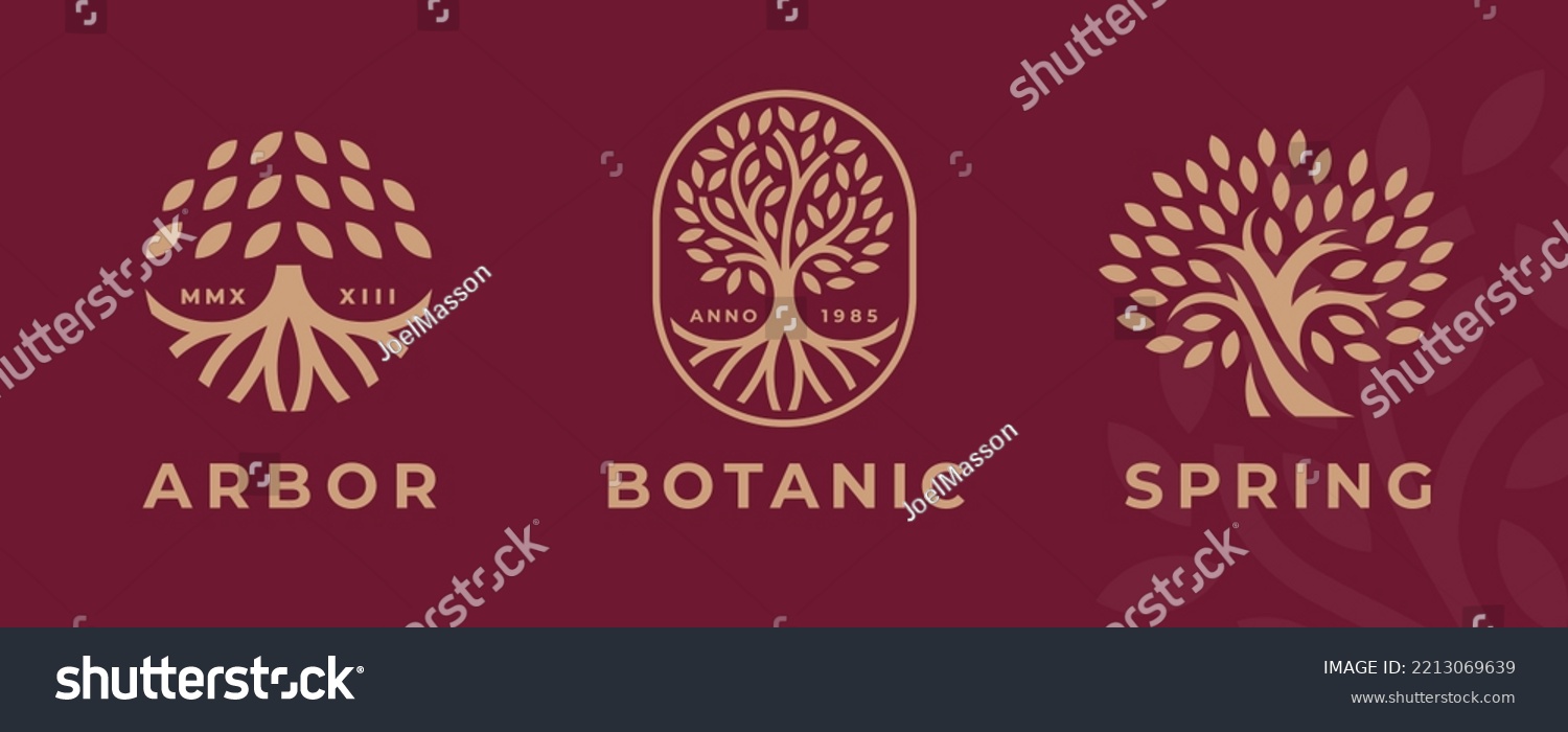 SVG of Abstract Tree of life logo icons set. Botanic nature symbols. Tree branch with leaves signs. Natural plant design elements emblems. Vector illustration. svg