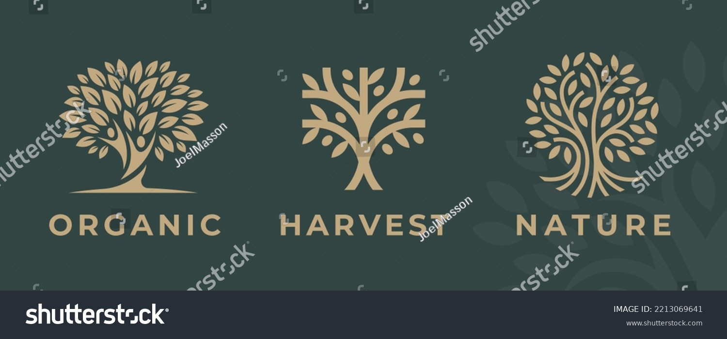 SVG of Abstract Tree of life logo icons set. Organic nature symbols. Tree branch with leaves signs. Natural plant design elements emblems. Vector illustration. svg