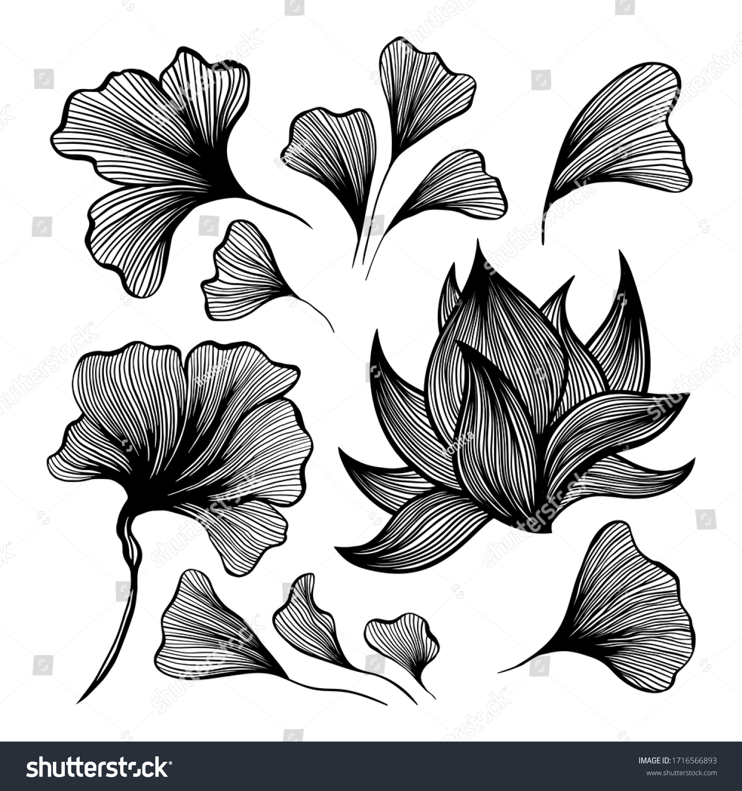 SVG of Abstract waves black and white line art decoration set for wallpaper and wall art design. Use for laser cutting. Modern contour drawign elements floral collection svg