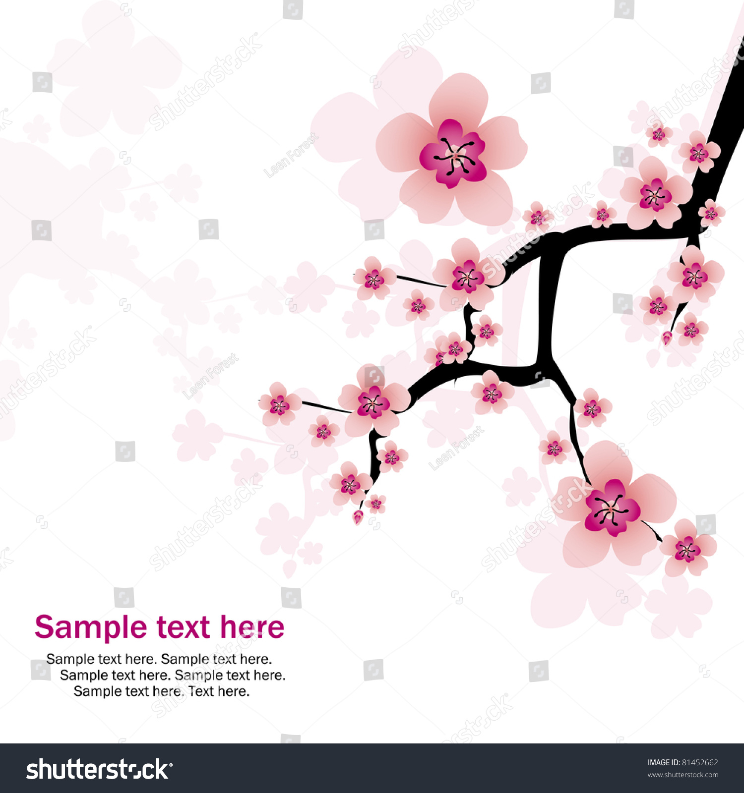 Abstract White Background Cherry Blossom Text Stock Vector 81452662 ...
