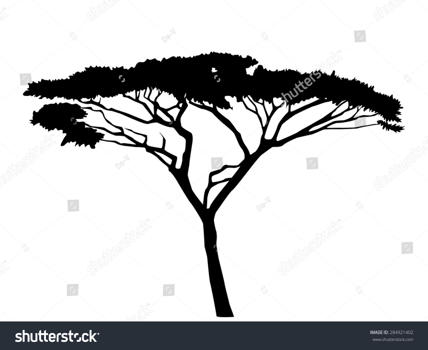 Acacia Tree Silhouette Stock Vector (Royalty Free) 284921402 | Shutterstock