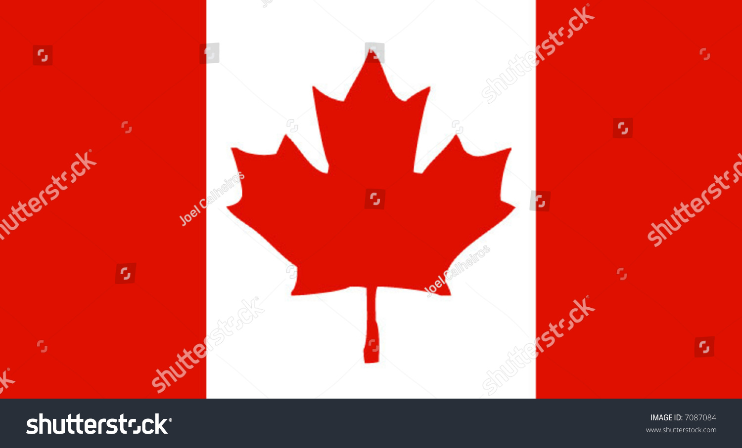 Accurate Vector Drawing Canadas Flag Stock Vector (Royalty Free