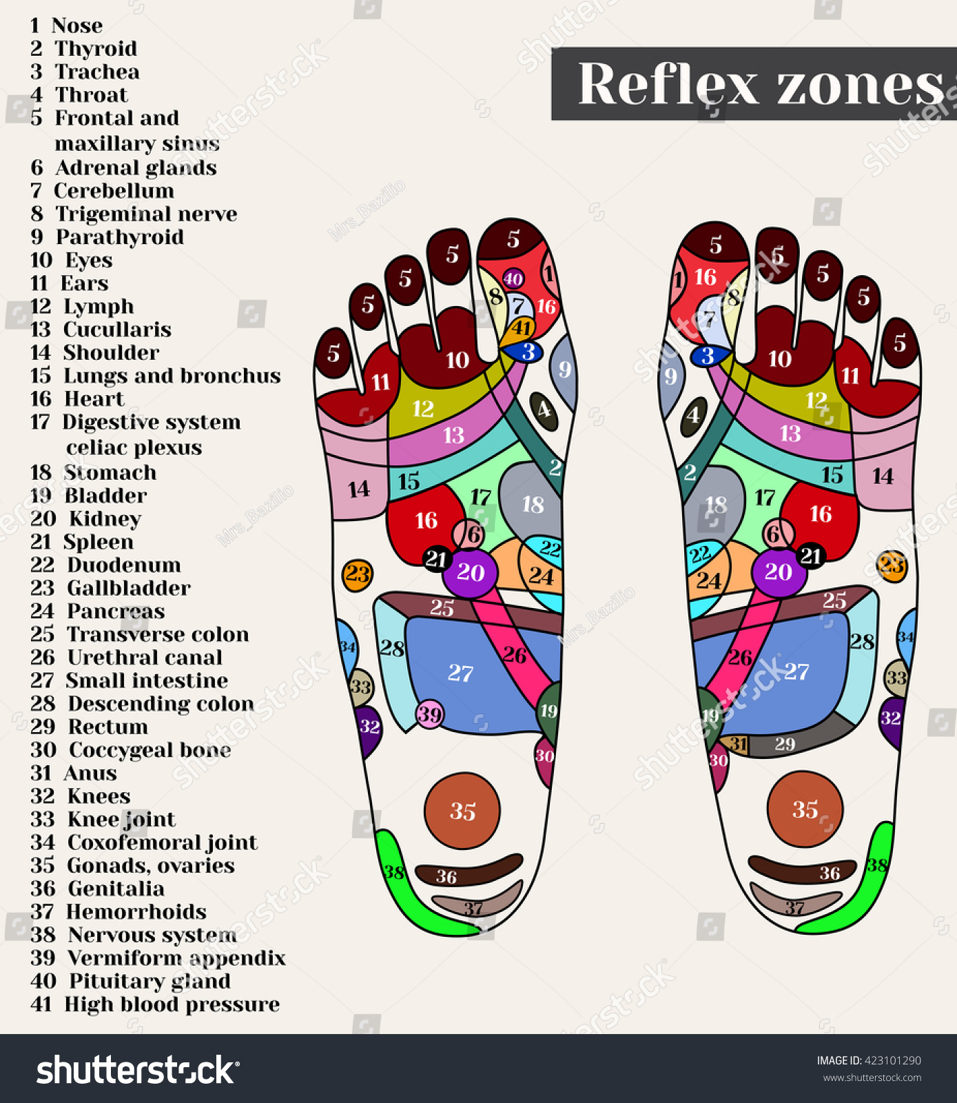 Acupuncture Points On Feet Reflex Zones Stock Vector (Royalty Free