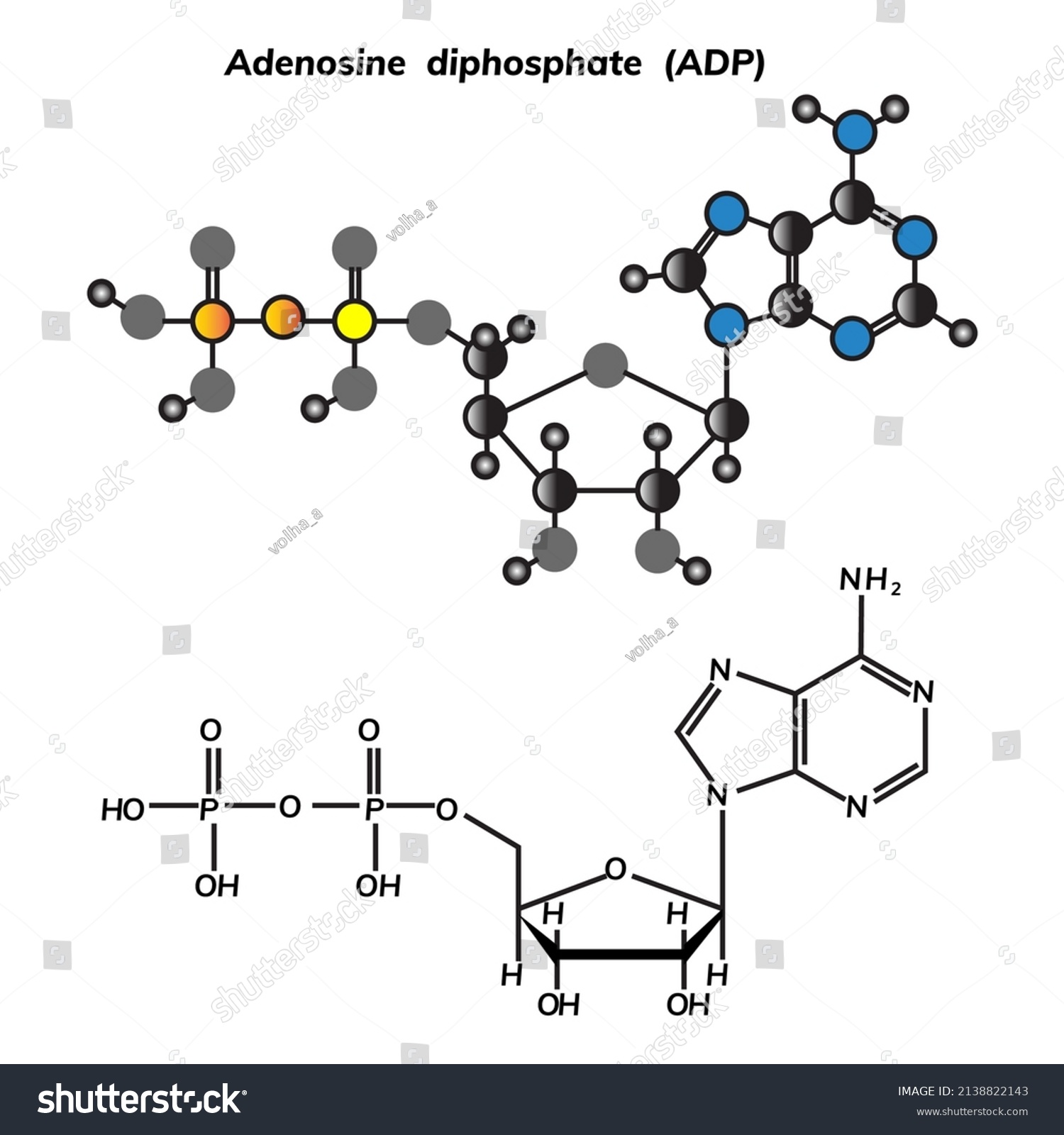 Adenosine Diphosphate Adp Chemical Formula Molecular Stock Vector