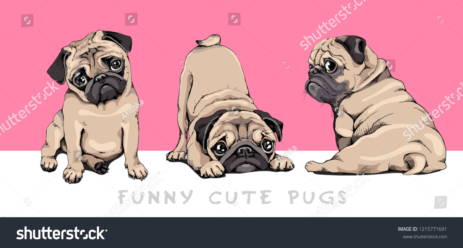 SVG of Adorable beige Pug puppies on a pink background. Humor set, hand drawn style print. Vector illustration. svg