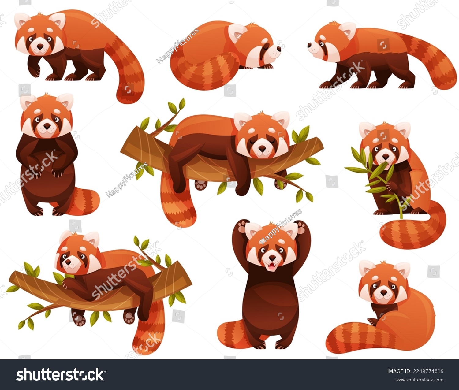SVG of Adorable Red Panda as Small Fluffy Mammal with Dense Reddish-brown Fur and Ringed Tail in Different Pose Vector Set svg