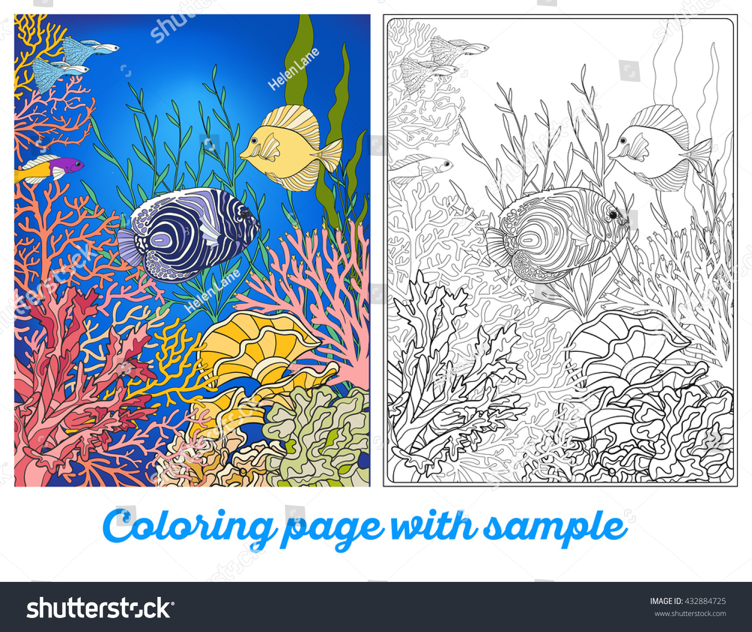 Adult Coloring Book Coloring Page Underwater : image ...