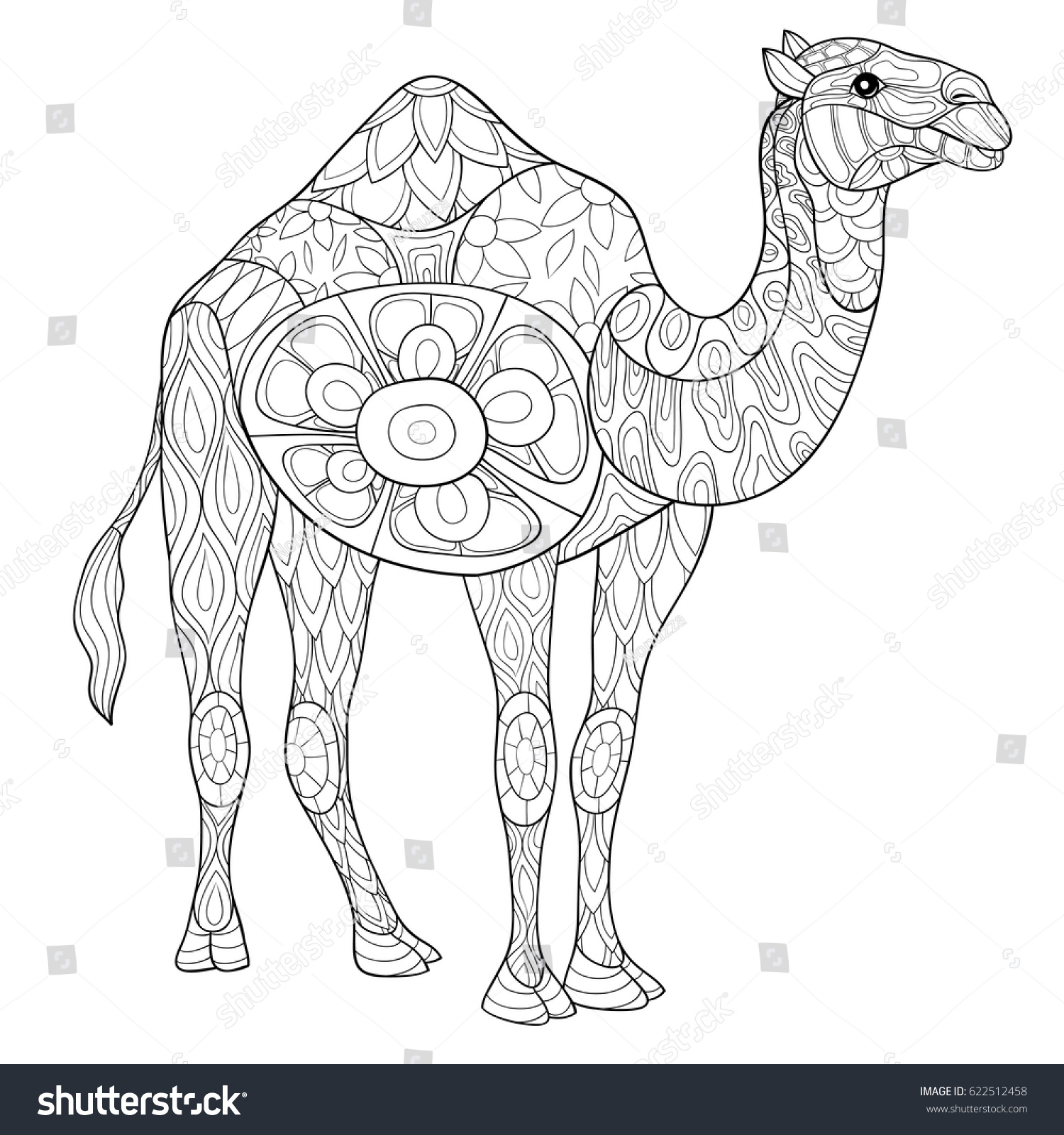 Camel Adult 71