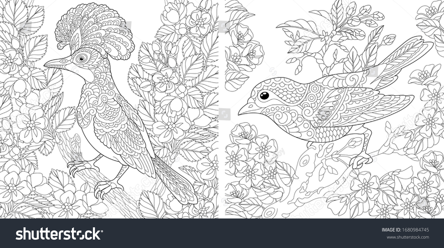 Adult Coloring Pages Beautiful Birds Spring Stock Vector Royalty ...