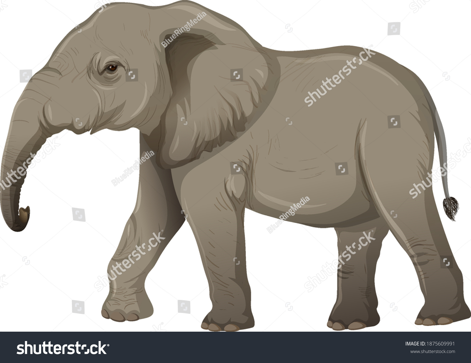 Adult Elephant Without Ivory Cartoon Style Stock Vector Royalty Free 1875609991 Shutterstock