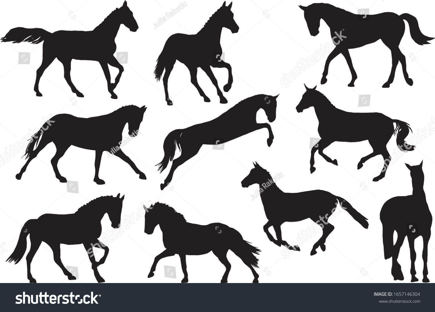 Adult Race Horses Silhouettes Clip Art Stock Vector (royalty Free 