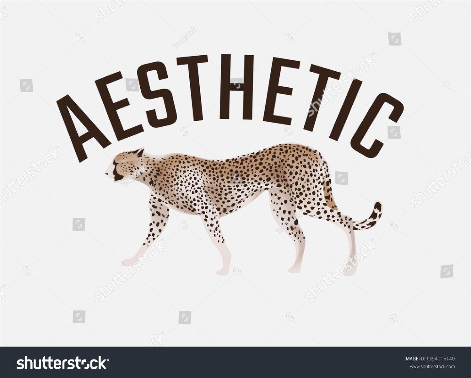 Featured image of post Cheetah Aesthetic Animal / When she&#039;s not writing about weird animal facts, abi writes and.