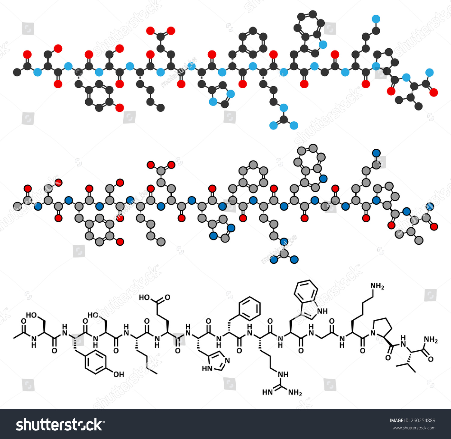 SVG of Afamelanotide (melanotan-1) photoprotective drug molecule. Stylized 2D renderings and conventional skeletal formula.  svg