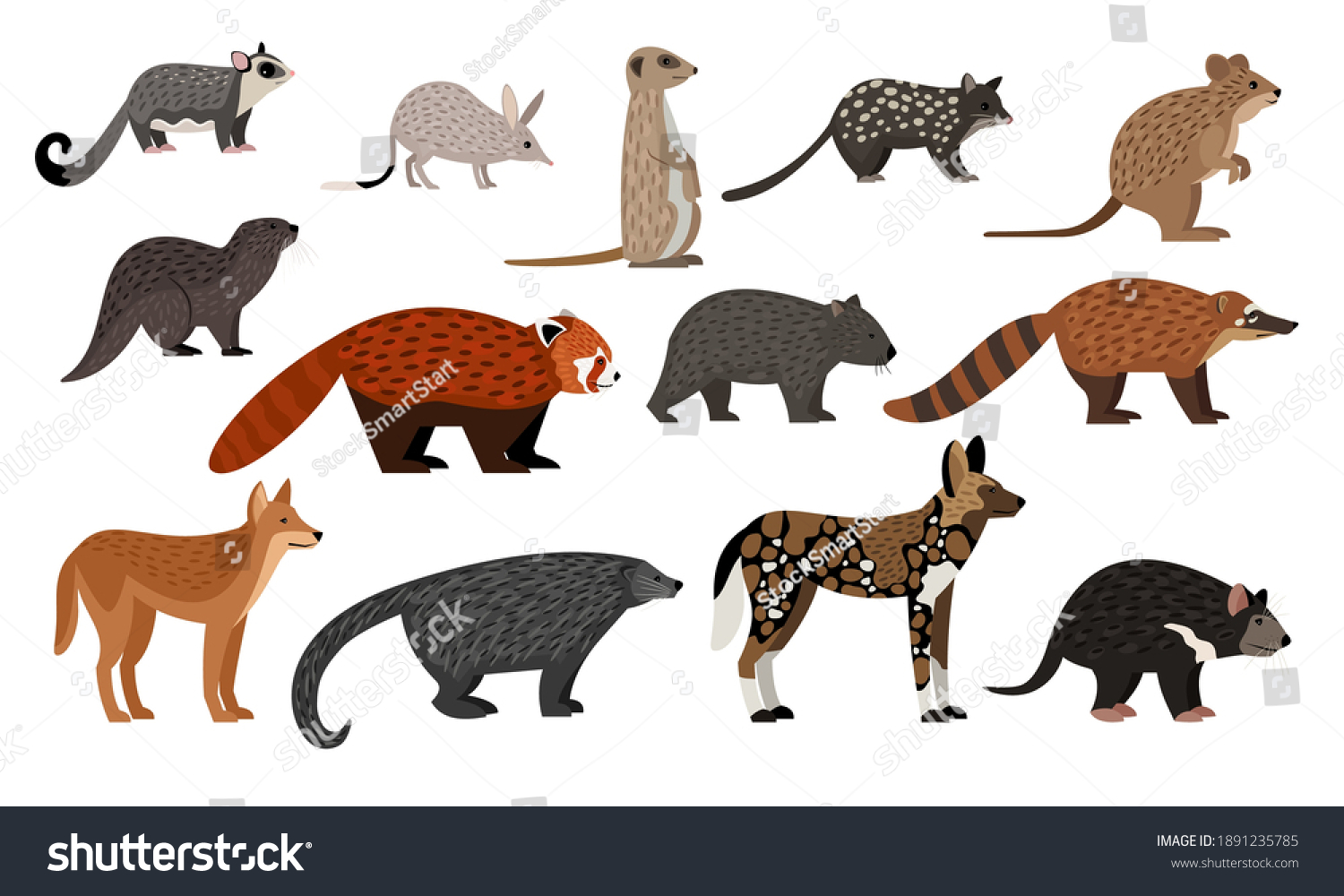 SVG of African animals set. Cartoon sugar glider, bilby quoll quokka otter red panda binturong coati dingo zoo creatures, wildlife characters collection isolated svg