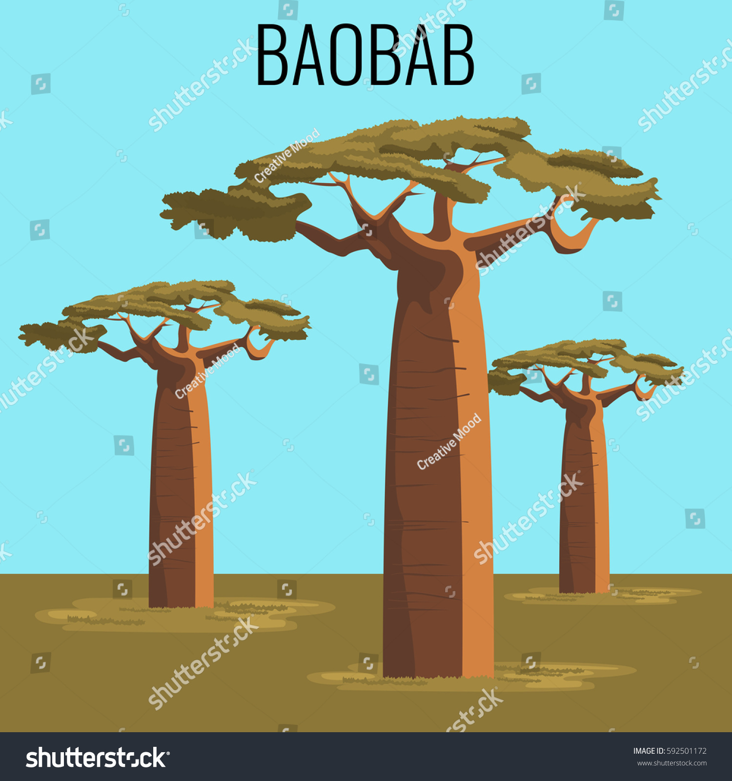 SVG of African baobab tree illustration. Vector illustration of powerful plant in realistic style svg