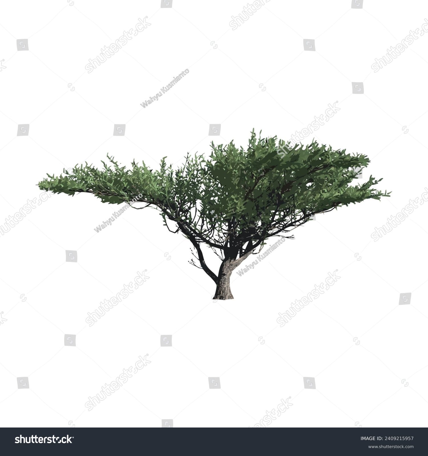 SVG of african baobab tree vector illustration design svg