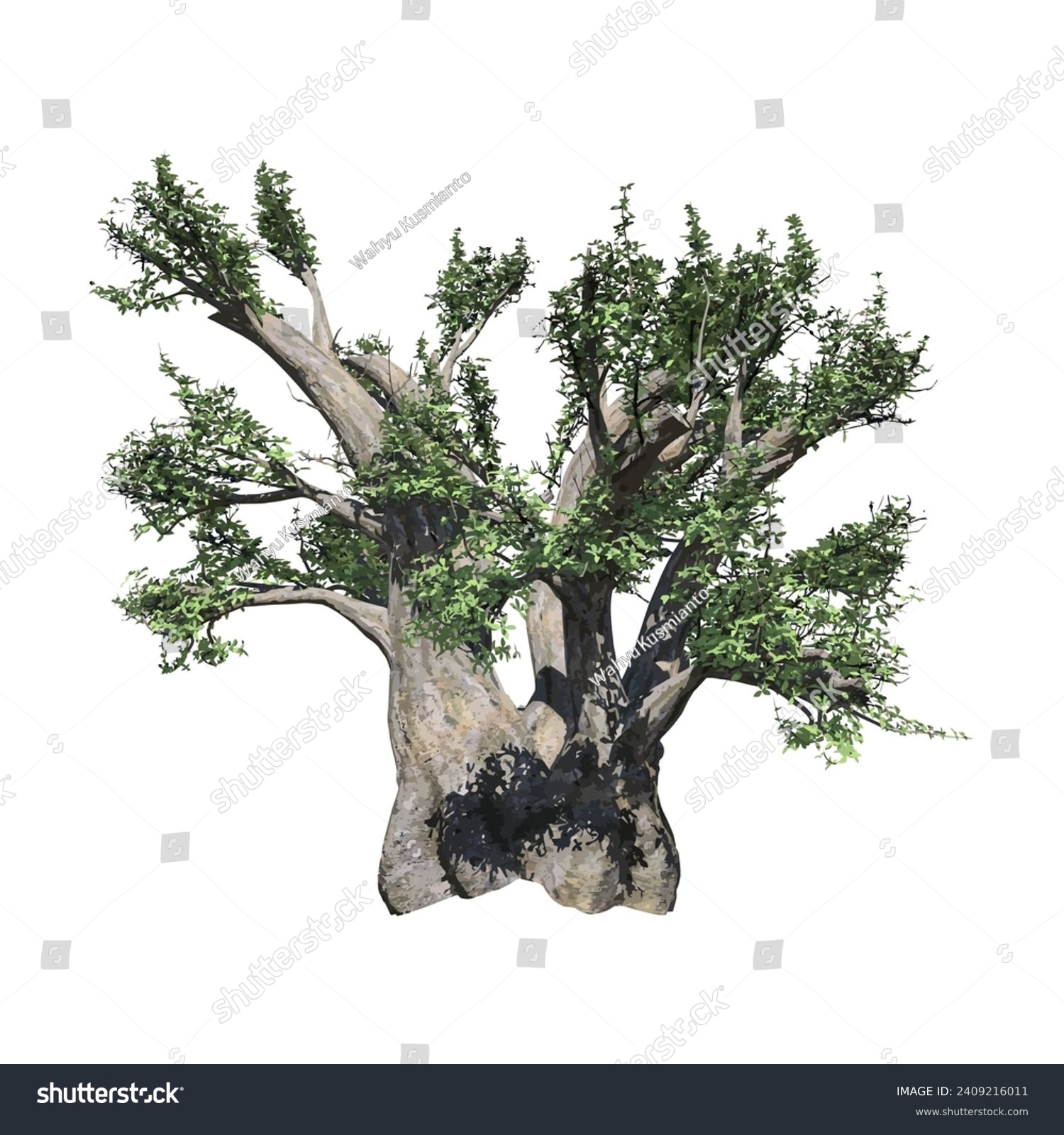 SVG of african baobab tree vector illustration design svg