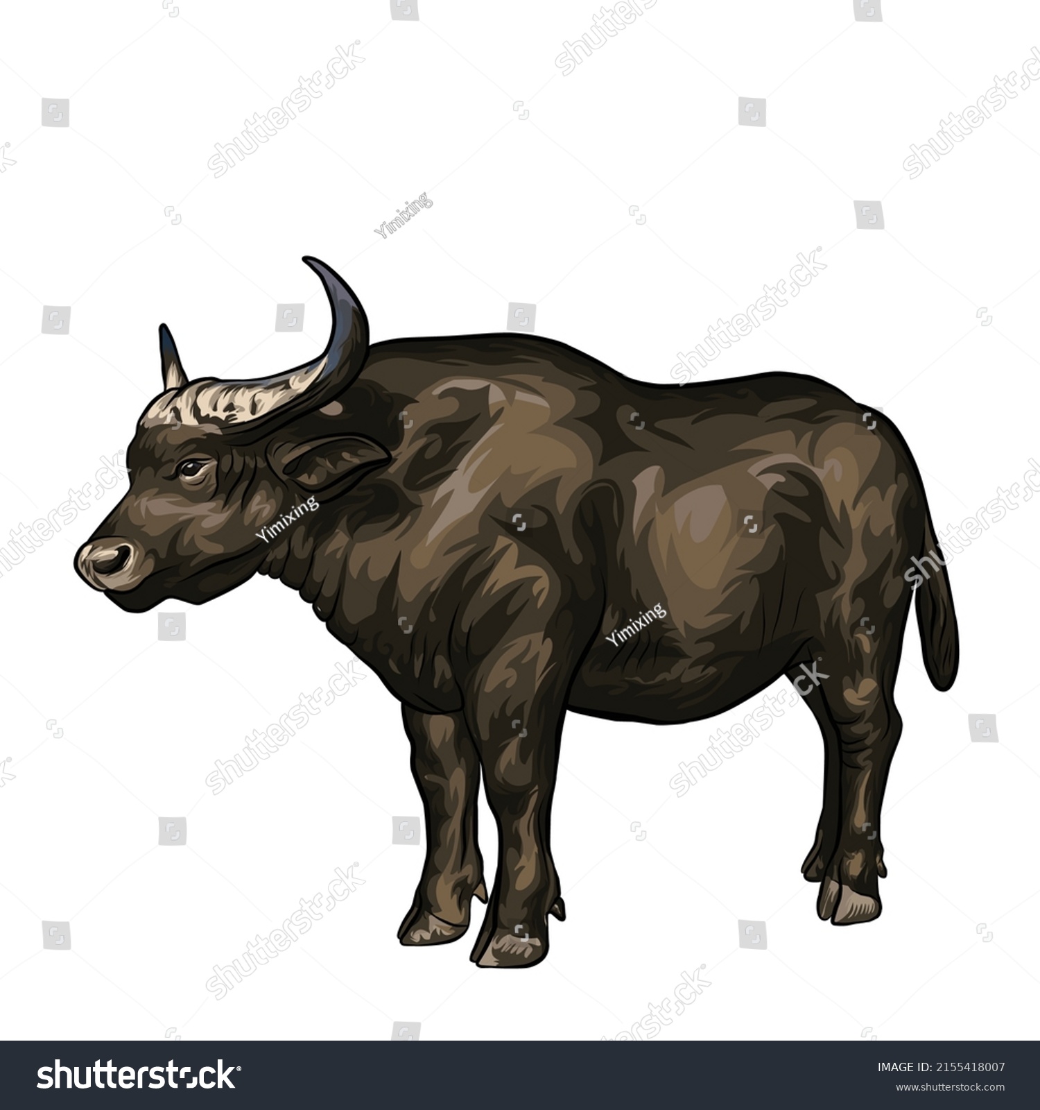 African Buffalo Vector White Background Stock Vector (Royalty Free ...