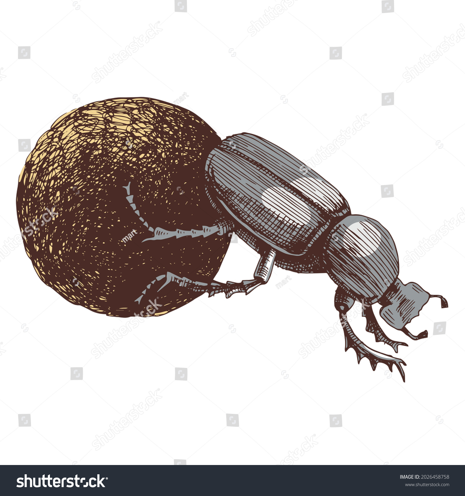 SVG of African Dung Beetle rolling ball svg