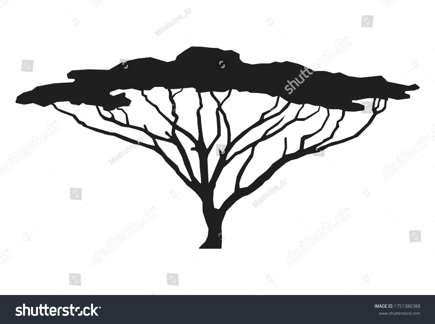 SVG of African tree isolated silhouette. Acacia tree silhouette. svg