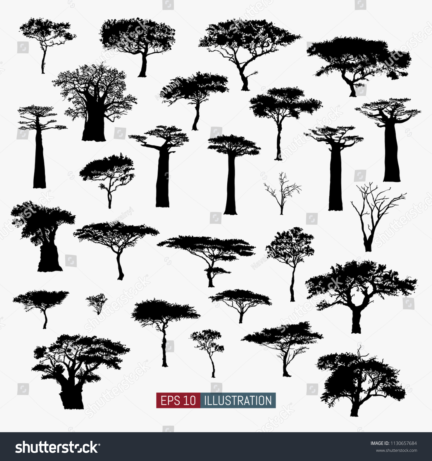 SVG of African tree isolated silhouettes set. Baobab, acacia and other. Elements for your design works. Vector illustration. svg