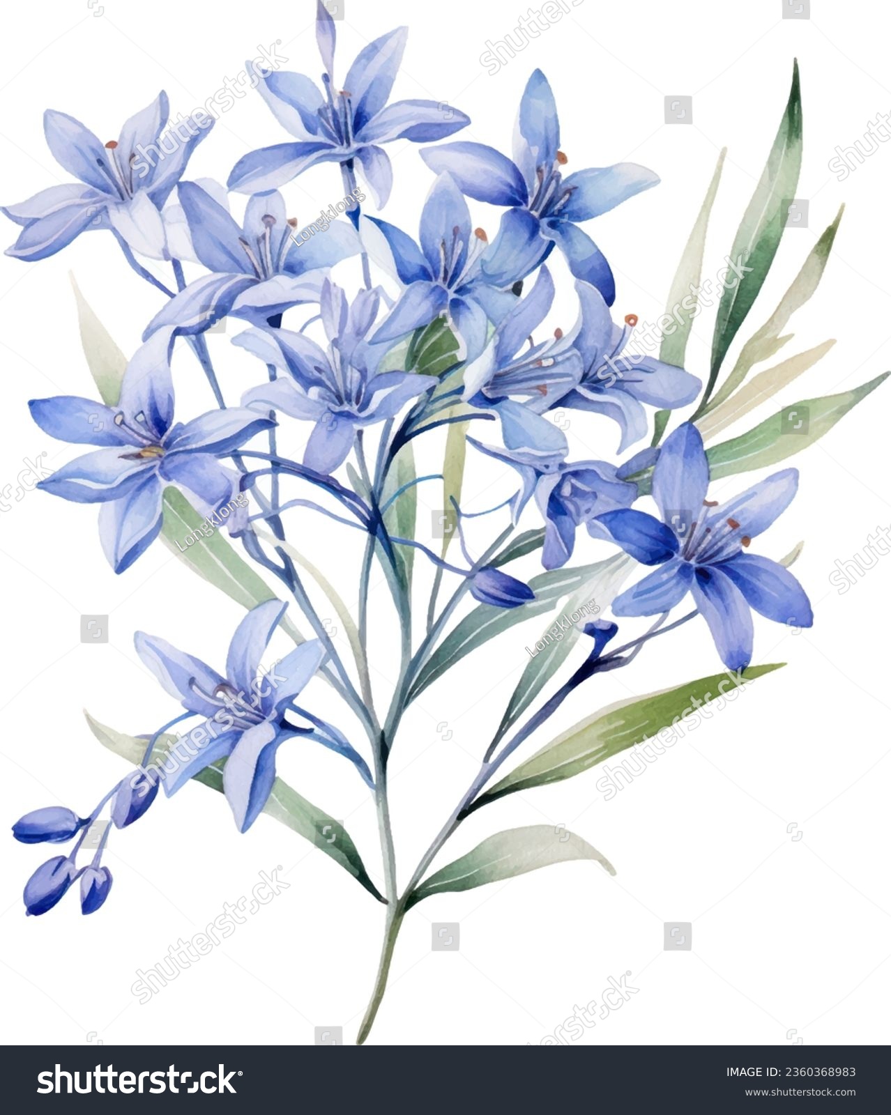 SVG of Agapanthus africanus Watercolor floral arrangements with beautiful African Lily flower, Watercolor floral bouquet. svg