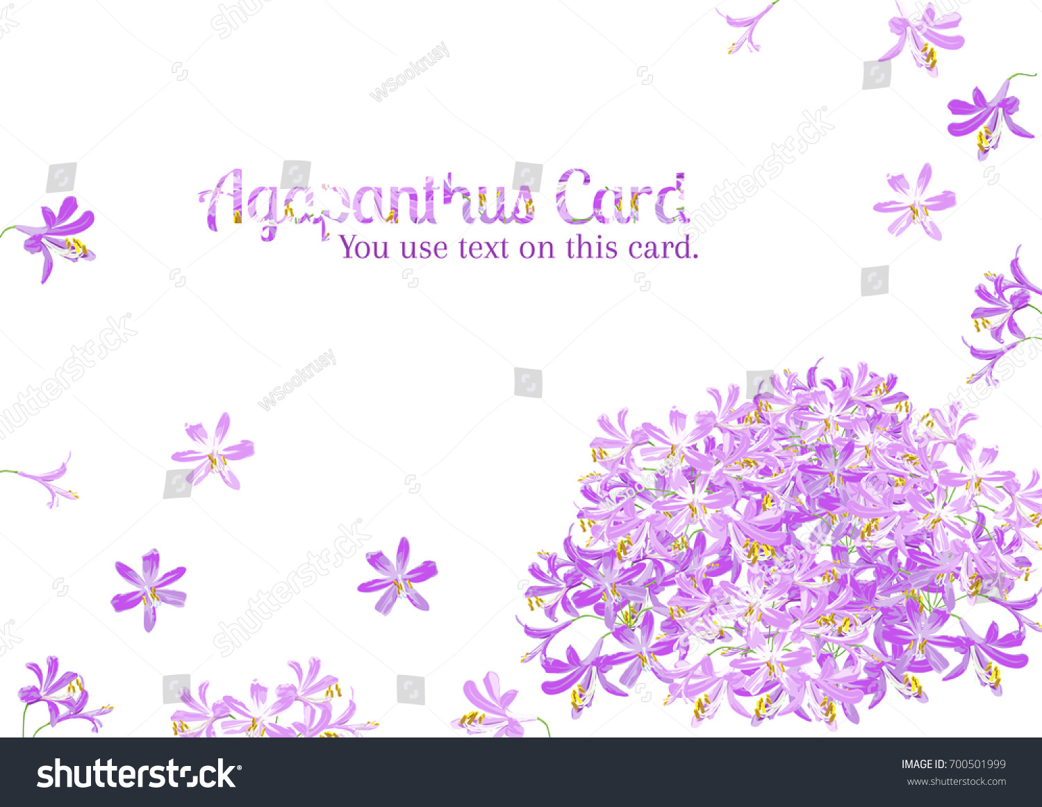 SVG of Agapanthus flower spring) for card, text on card with purple agapanthus flower is vector for card.  svg