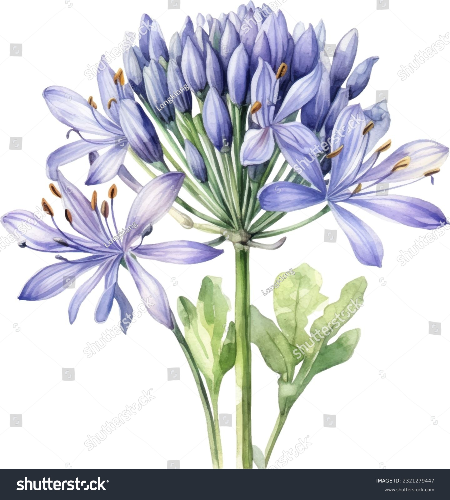 SVG of Agapanthus Watercolor illustration. Hand drawn underwater element design. Artistic vector marine design element. Illustration for greeting cards, printing and other design projects. svg