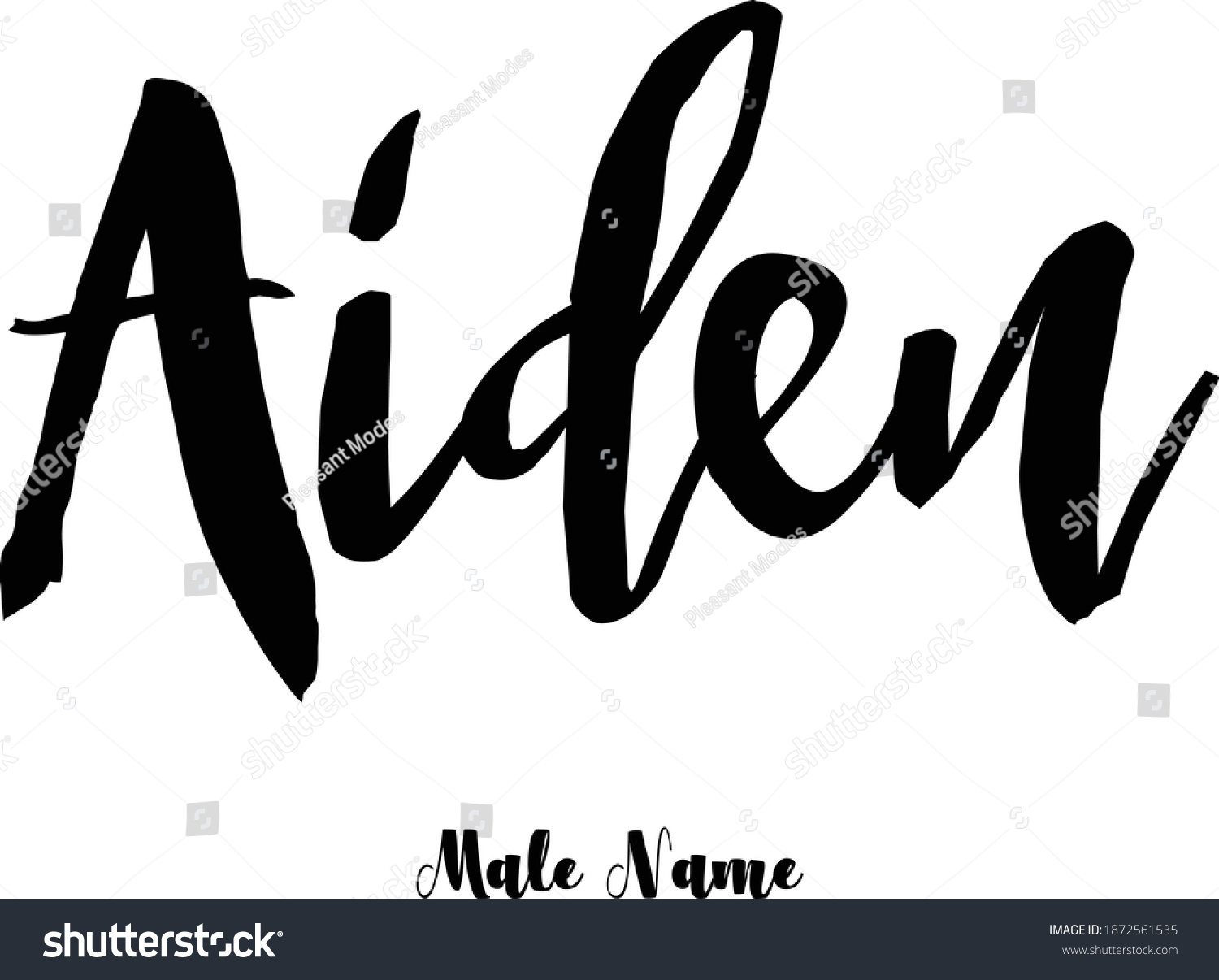 Aidenmale Name Bold Cursive Calligraphy Typeface Stock Vector Royalty Free