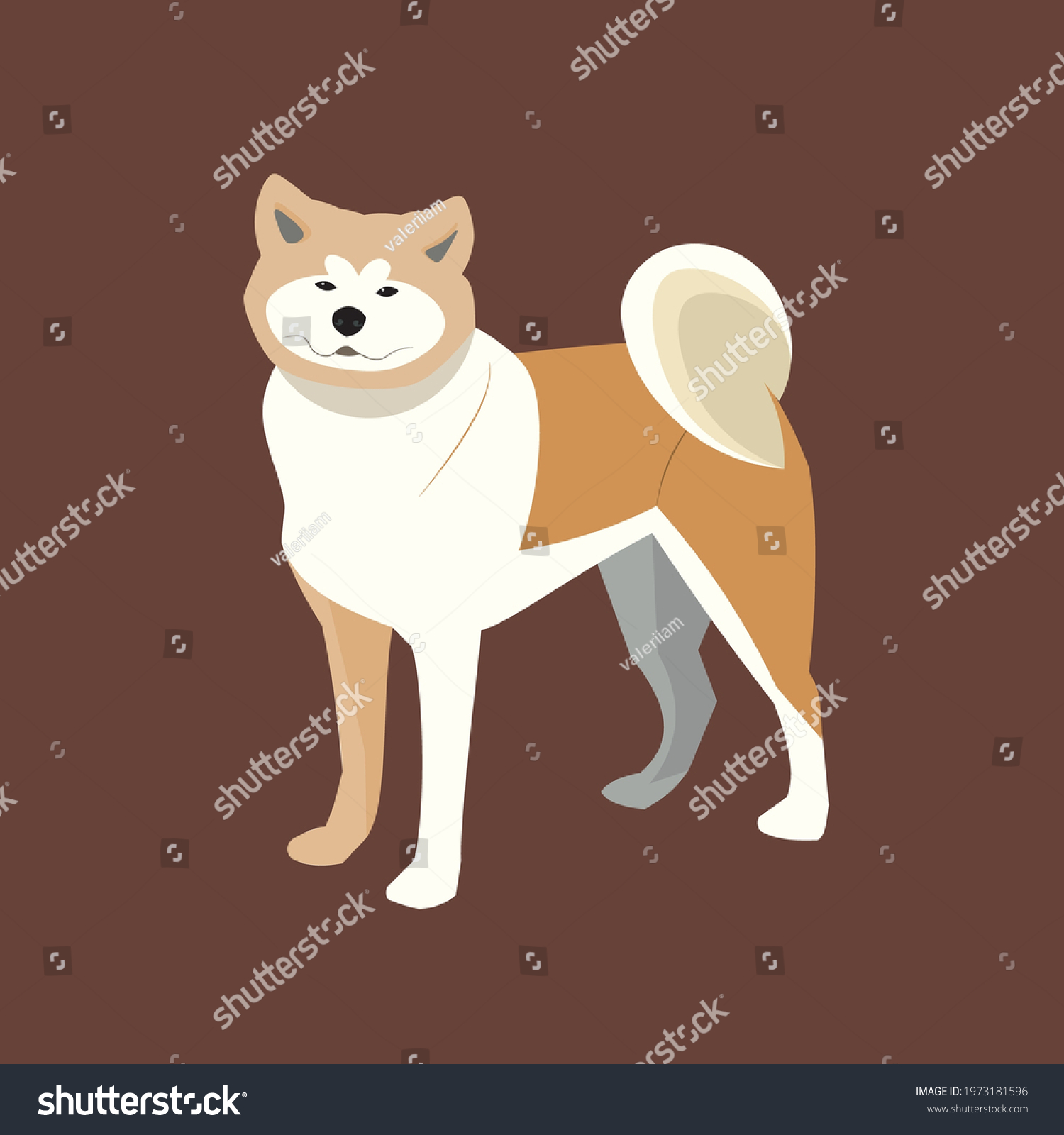 Stock vektor „Akita Inu Vector Cartoon Illustration Cute“ (bez