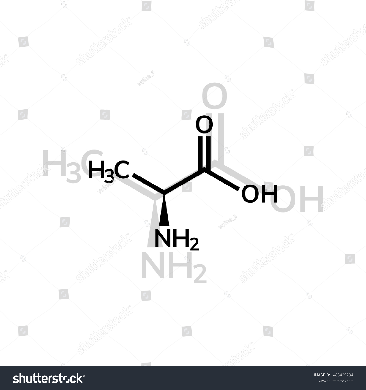 Alanine Ala Amino Acid Chemical Formula Stock Vector (Royalty Free ...