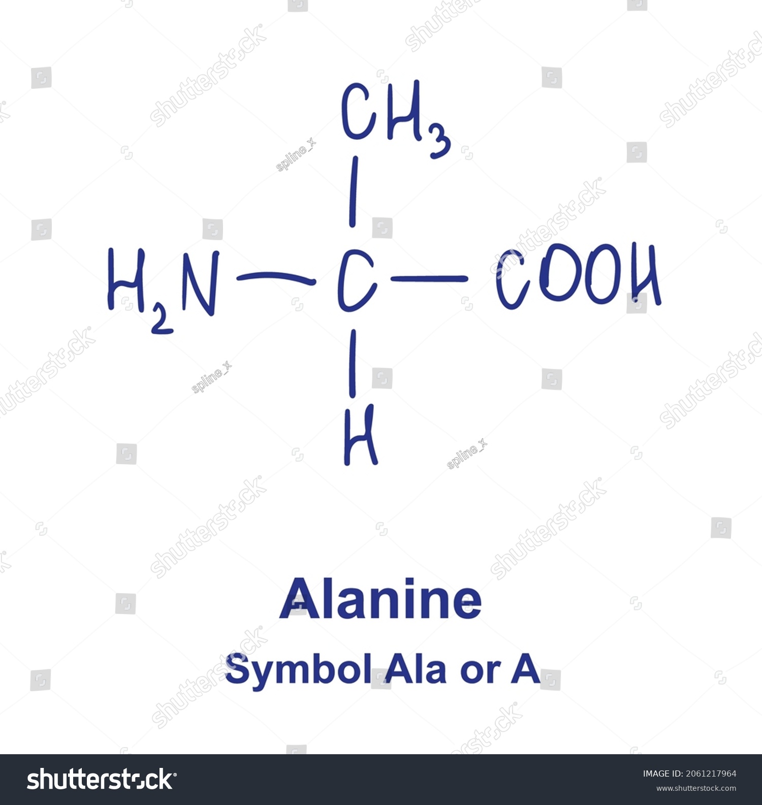 Alanine Chemical Structure Vector Illustration Hand Stock Vector Royalty Free 2061217964 9936